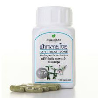 OUAY-UN ONLINE STORE  Andrographis paniculata 