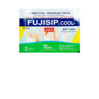 Set of 4 Fujisip Cool Pain Relief Patch for Arthritis Set of 4 Fujisip Cool Pain Relief Patch for Arthritis
