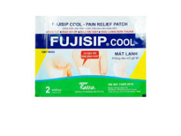 Set of 4 Fujisip Cool Pain Relief Patch for Arthritis