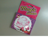 Magical Sakura craft kit