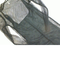 Black transparent dress