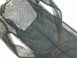 Black transparent dress