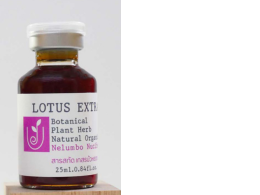 lotus extract botanical plant herb lotus extract botanical plant herb