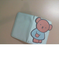 Blue passport holder