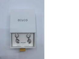 Women's silver earrings in a white box