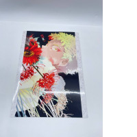 Japanese artbook Japanese artbook