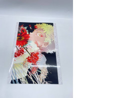 Japanese artbook Japanese artbook