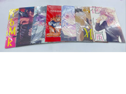 Set of Japanese manga books