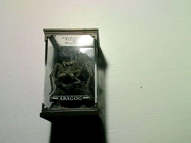 Spider toy from ARAGOD Spider toy from ARAGOD