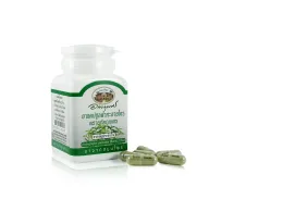 Abhaibhubejhr Andrographis paniculata capsules, 60 capsules 