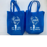 Set of 2 Blue cloth bag