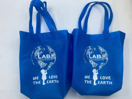 Set of 2 Blue cloth bag