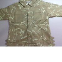 Children's shirt with a dinosaur image