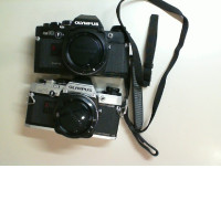 Set of 2 Olympus OM-10 cameras, gray and black + carrying cord, used