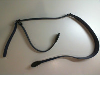 Camera strap with mounts