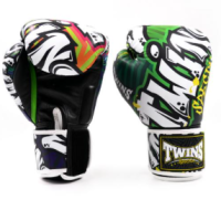 TWINS Special Boxing Gloves FBGVL4-68 oz14