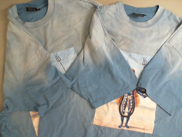 Set of 2 blue t-shirts Set of 2 blue t-shirts