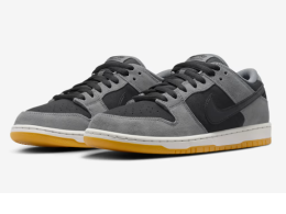 Nike SB Dunk Low Pro HF3063 001 Nike SB Dunk Low Pro HF3063 001