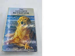 Golden retriver book Golden retriver book