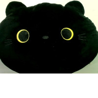pillow with a black cat