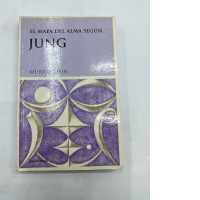Jung book