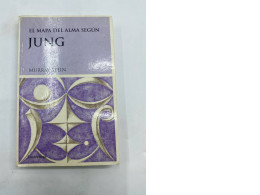 Jung book