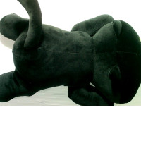 pillow with a black cat pillow with a black cat