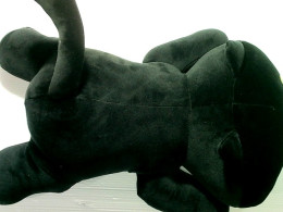 pillow with a black cat