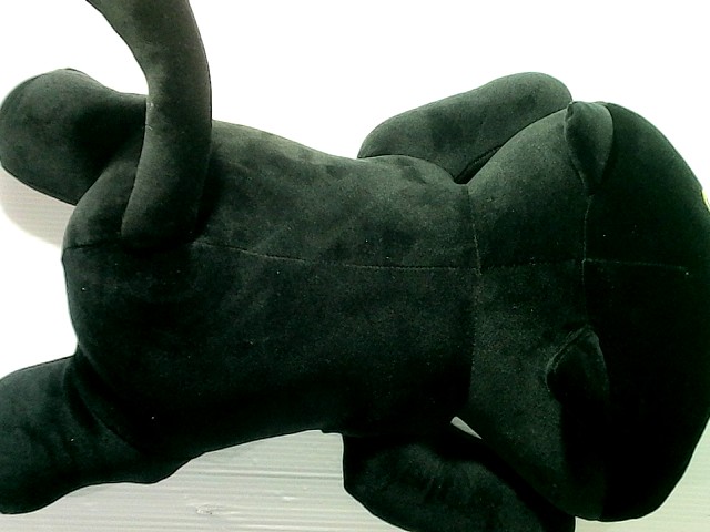 pillow with a black cat pillow with a black cat