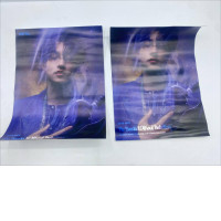 Set of 2 poster Metal