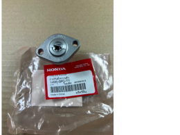 W-125R,S,X,I cylinder chain push/voltage regulator 14520-GFC-771