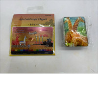 Set of 2 Fridge magnets, souvenirs from Korea 