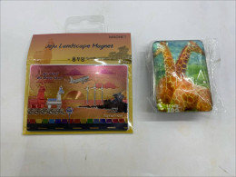 Set of 2 Fridge magnets, souvenirs from Korea 