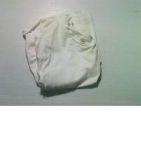 women's crop top t-shirt