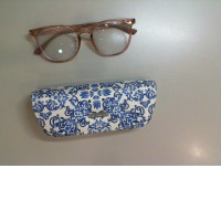 Blue case + prescription glasses