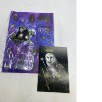 Set of 2 Owl postcard