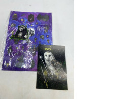 Set of 2 Owl postcard