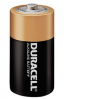 Set of 10 Duracell D Battery