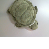 Soft toy turtle