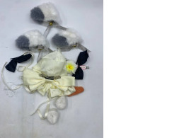 Set of 10 Women's hair clips 