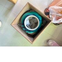 painted green ceramic vase