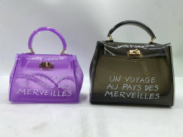 Set of 2 Shoulder bag, clear PVC plastic, "Un voyage au pays des merveilles" (a voyage to the land of wonders), jelly bag. 