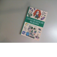 The Power of the Green Witch coloring book