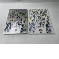 Set of 2 anime artbooks