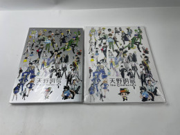Set of 2 anime artbooks