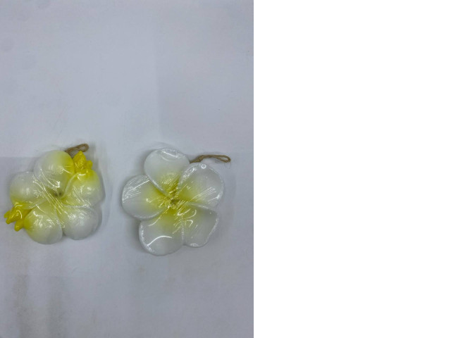 Set of 2 Plumeria flower shaped soap Set of 2 Plumeria flower shaped soap