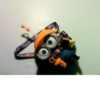 Minions water bottle