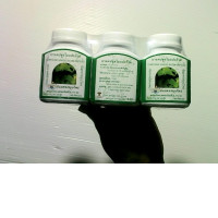 ginkgo biloba capsules from the brand thanyaporn 6pcs