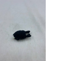 Black teddy bear Black teddy bear