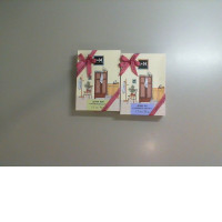 Set of 2 scented bags for home